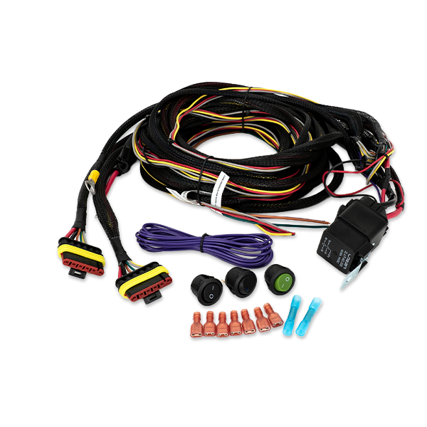 Two-Lamp Wiring Kit - Long (6-Pin, Superseal, 12V)