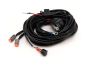 Two-Lamp Wiring Kit - Long (2 Pin, Deutsch DT, 12V)