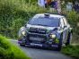 Citroen C3 4-Lamp Rally Pod 