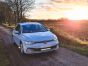 VW Golf MK8 (2020-2024) Grille Kit
