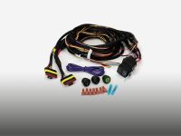 Two-Lamp Wiring Kit (6-Pin, Superseal, 12V)